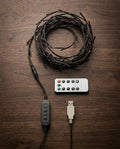 Willow vine light, remote control and USB cable with controller laid out on a dark table